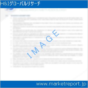 市場と産業調査レポートのイメージ